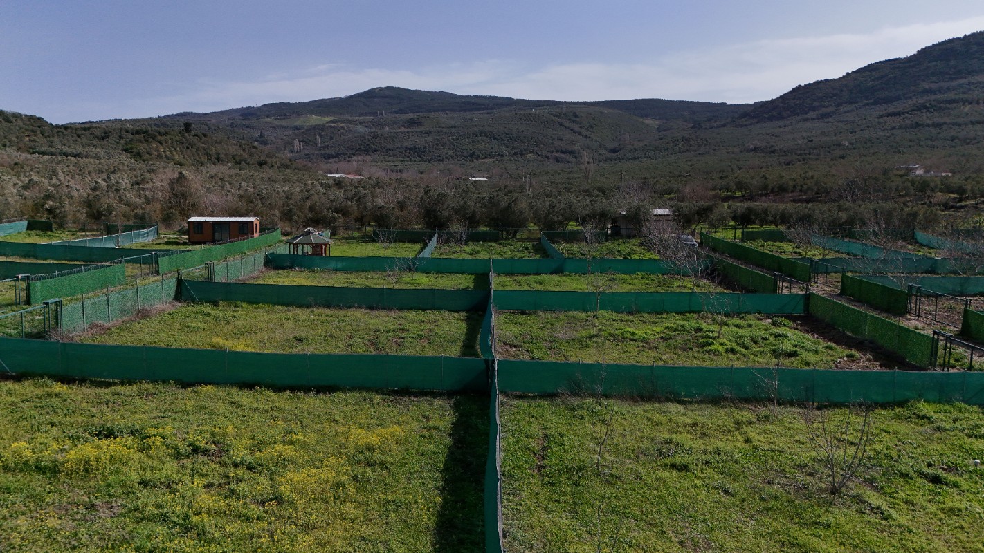 MUDANYA TRİLYE DE SATILIK BAHÇELER