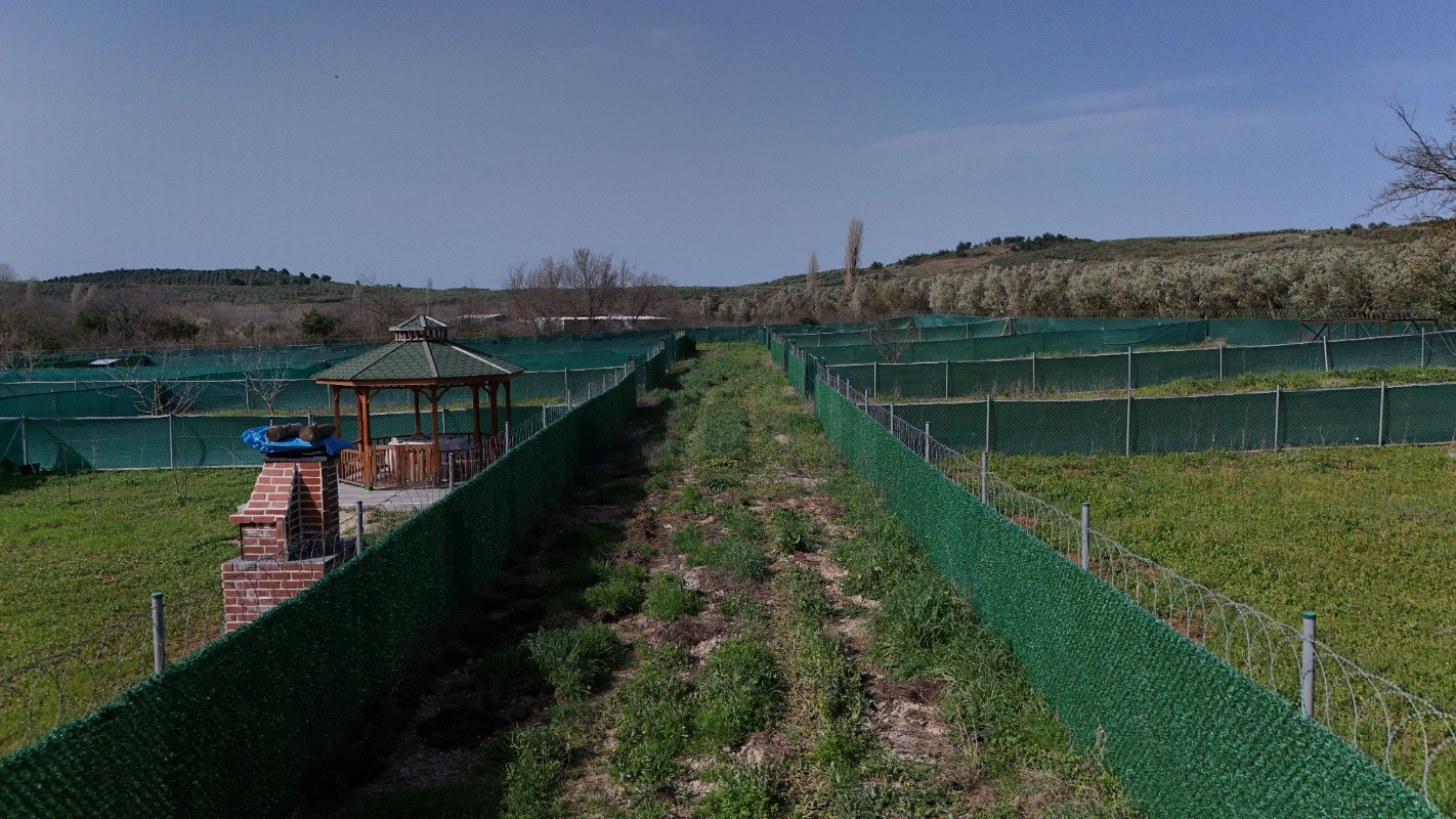 MUDANYA TRİLYE DE SATILIK BAHÇELER