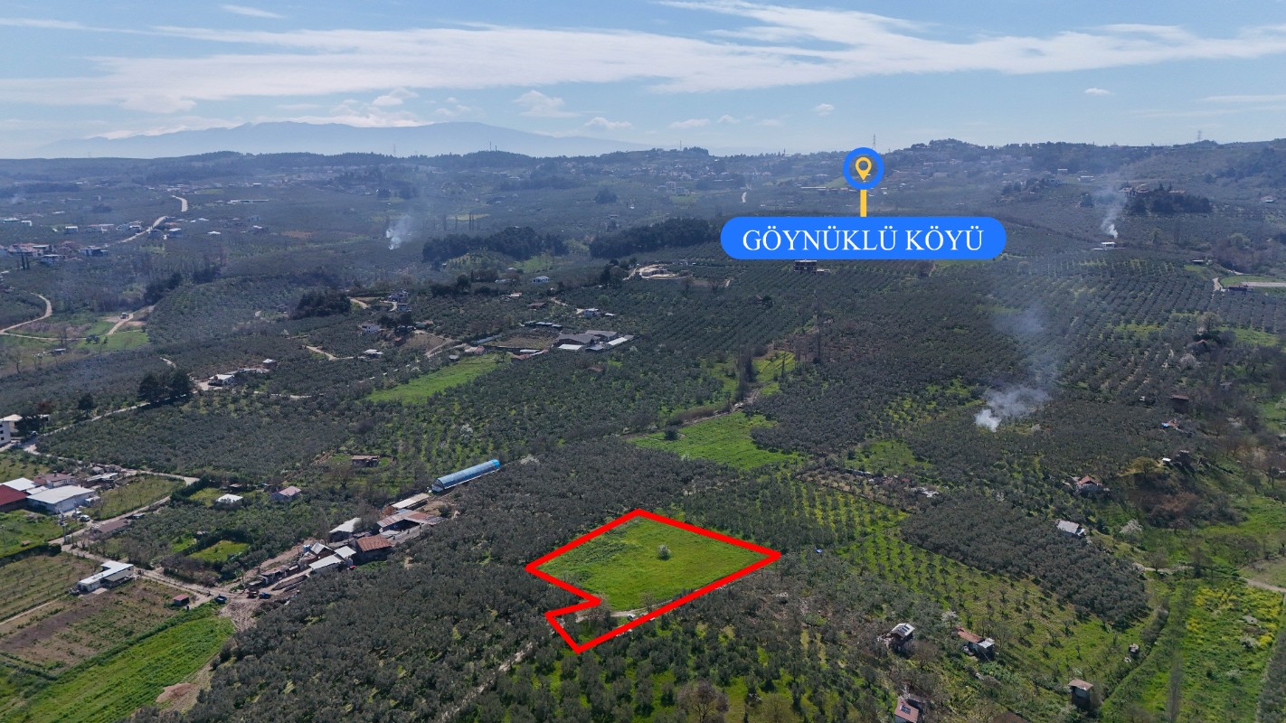 Bursa Mudanya Güzelyalı Eğitim Mahallesinde Satılık Tarla