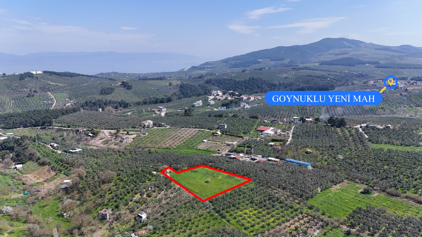 Bursa Mudanya Güzelyalı Eğitim Mahallesinde Satılık Tarla