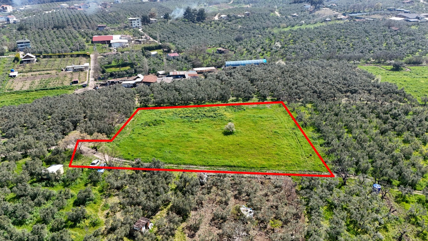 Bursa Mudanya Güzelyalı Eğitim Mahallesinde Satılık Tarla