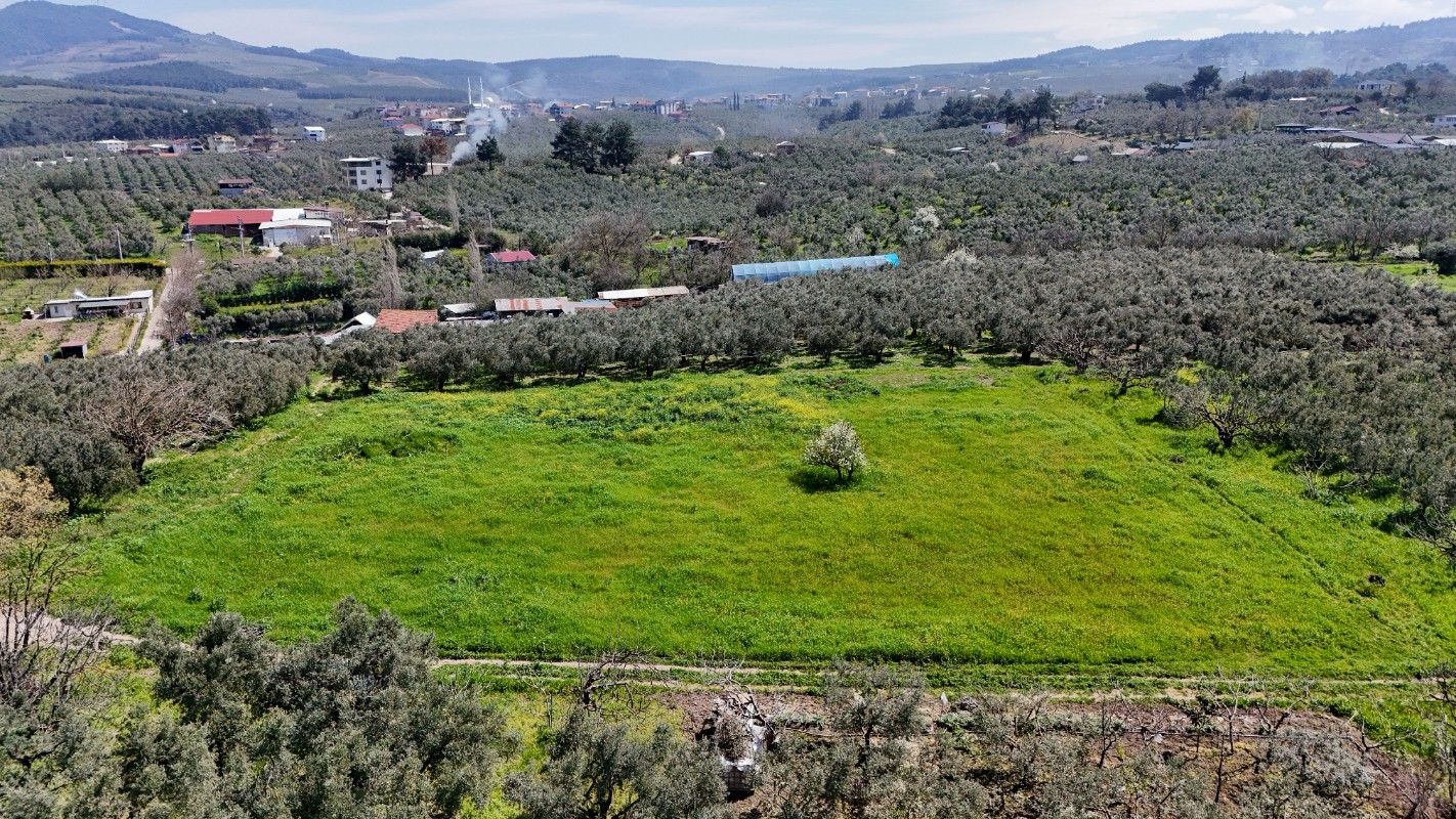 Bursa Mudanya Güzelyalı Eğitim Mahallesinde Satılık Tarla