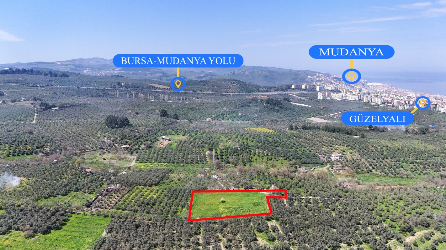 Bursa Mudanya Güzelyalı Eğitim Mahallesinde Satılık Tarla