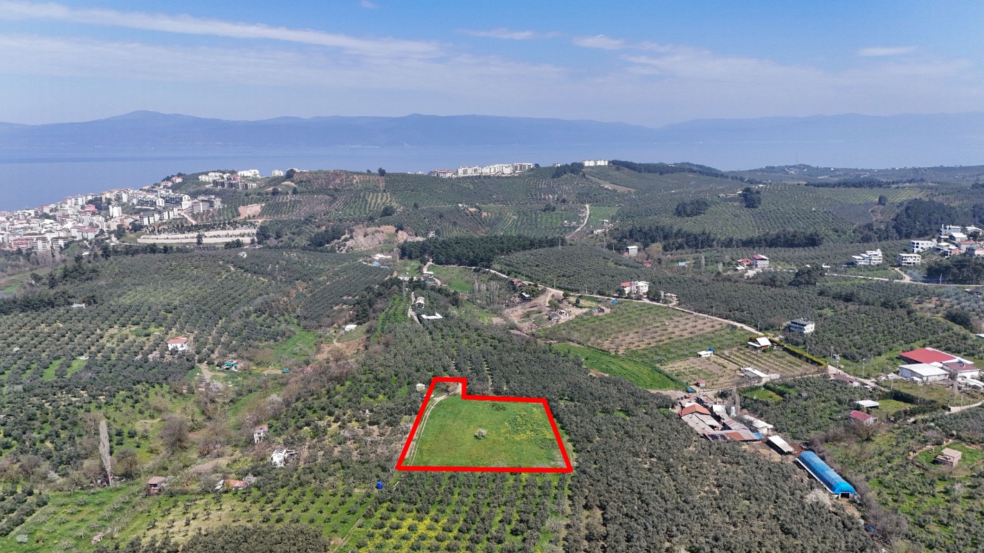 Bursa Mudanya Güzelyalı Eğitim Mahallesinde Satılık Tarla