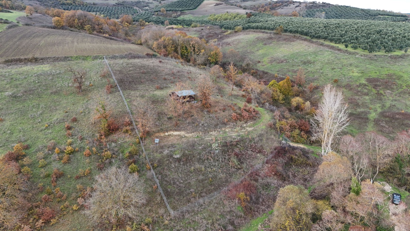 BURSA MUDANYA HANÇERLİ BAĞ EVİ