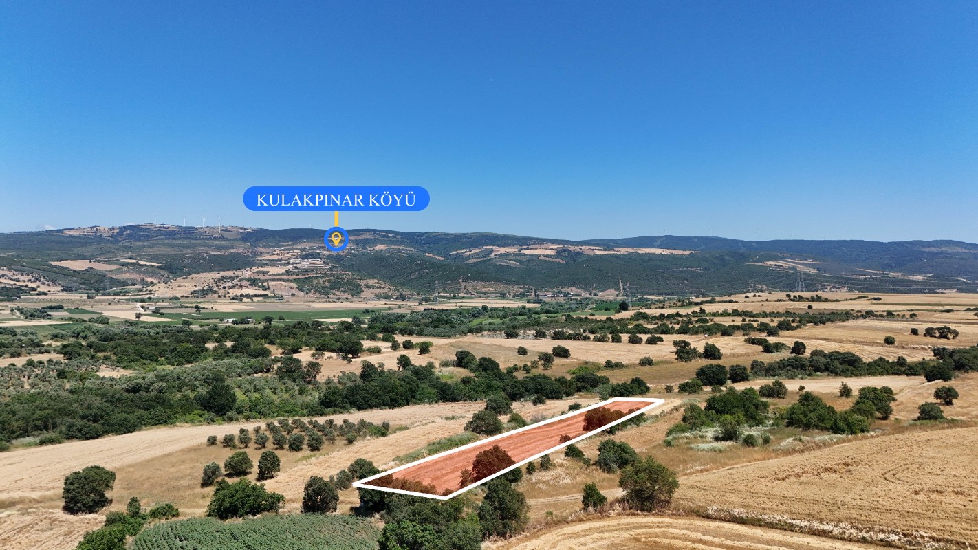 BURSA KARACABEY HARMANLI'DA SATILIK 3.550 M² YATIRIMLIK TARLA