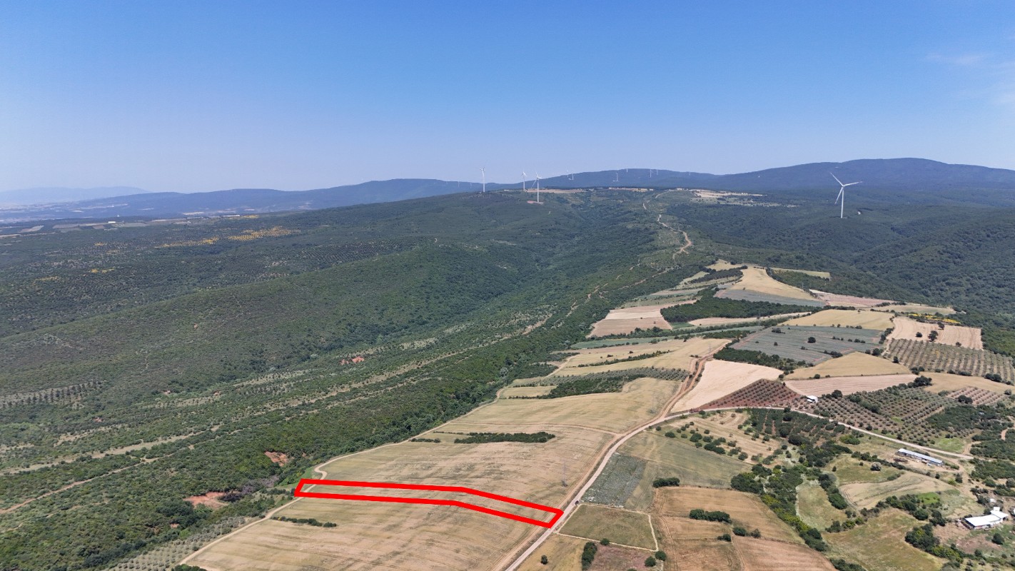 BURSA KARACABEY KEŞLİK ASFALT CEPHE YATIRIMLIK ARAZİ