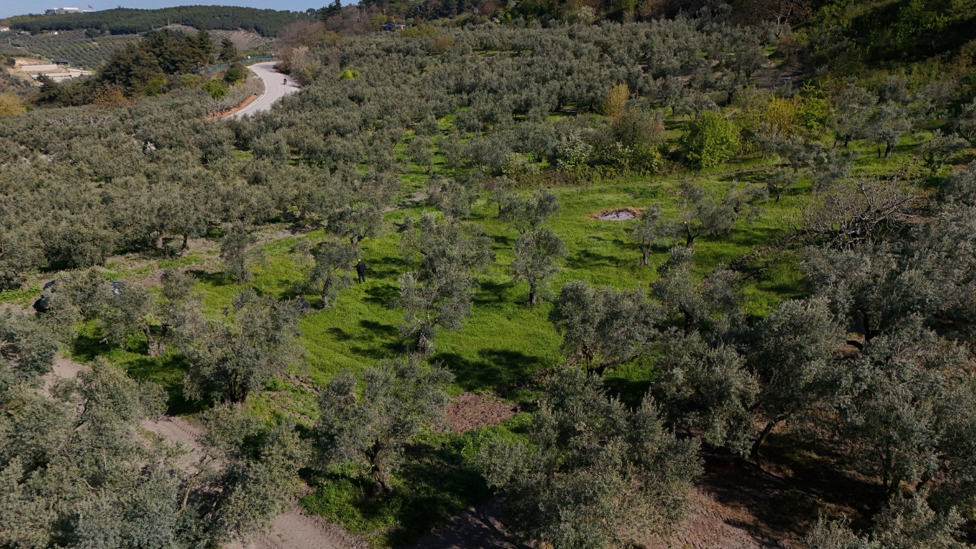 BURSA MUDANYA AYDINPINAR DENİZ MANZARALI ARAZİ